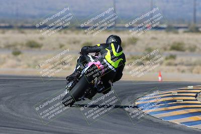 media/Feb-03-2024-SoCal Trackdays (Sat) [[767c60a41c]]/2-Turn 11 (10am)/